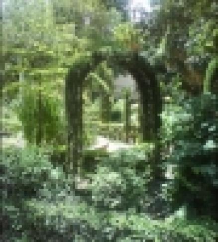 thumbs_dsc00083